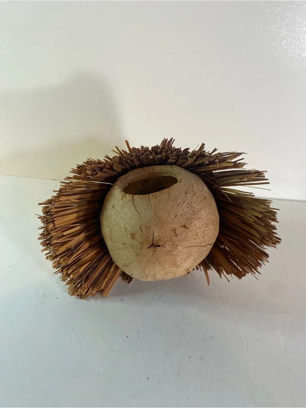 Vintage Coconut & Straw Bird Feeder/House